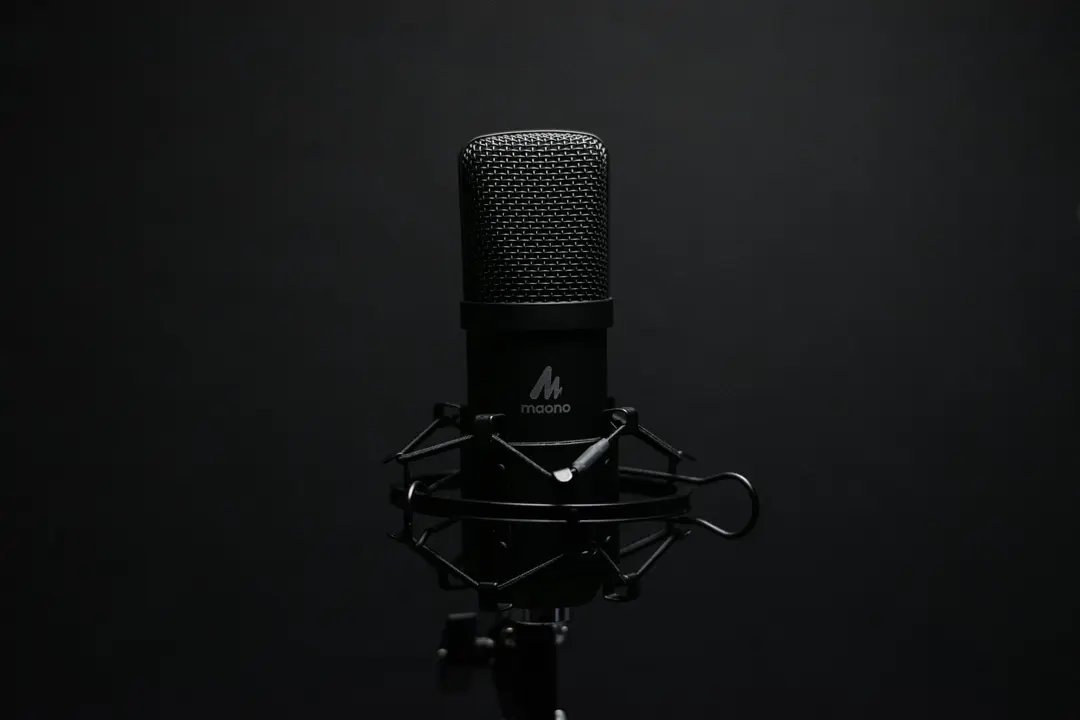 Was bestimmt den Preis eines Dubbing-Voiceovers?